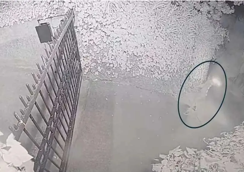 Sam Altman Attack: Man Charged with Attempted Murder